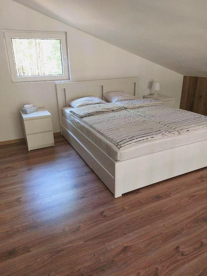 Country house Bizon Village